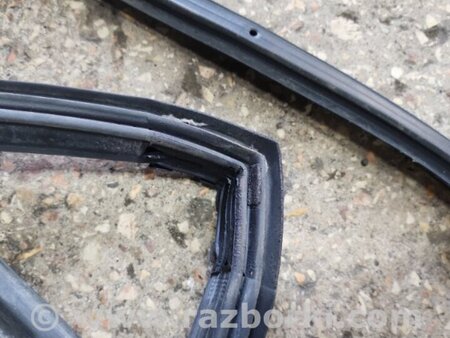 ФОТО Уплотнительная резинка задняя левая для Subaru Tribeca B9 (05-08) Київ