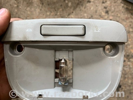 ФОТО Плафон освещения основной для Subaru Legacy IV BL/BP (03-09) Київ