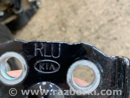 ФОТО Петля двери для KIA Sorento 1 BL (02-09) Київ