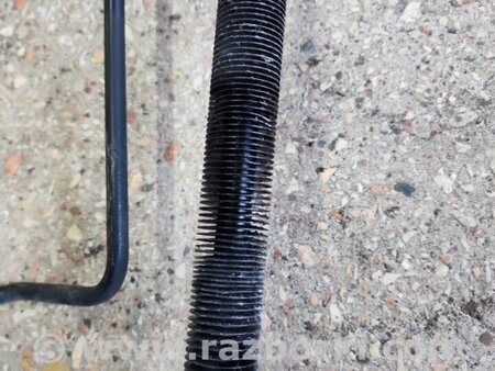 ФОТО Радиатор масляный для Subaru Tribeca B9 (05-08) Київ