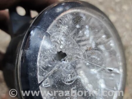 ФОТО Фара противотуманная правая для Subaru Outback V BS (14-21) Київ