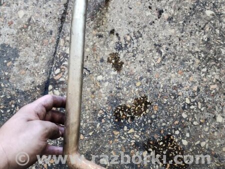 ФОТО Трубка егр для Subaru Outback V BS (14-21) Київ