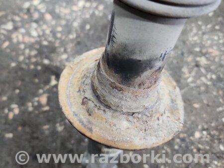 ФОТО Амортизатор задний для Subaru Outback V BS (14-21) Київ