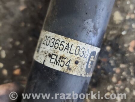 ФОТО Амортизатор задний для Subaru Outback V BS (14-21) Київ