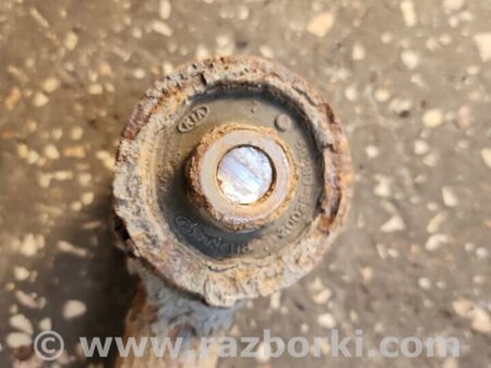 ФОТО Рычаг задний левый для KIA Sorento 1 BL (02-09) Київ