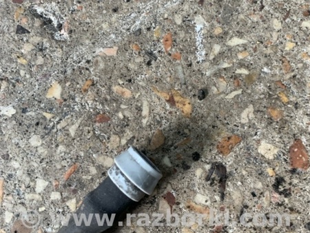 ФОТО Шланг омывателя фар для Subaru Outback V BS (14-21) Київ