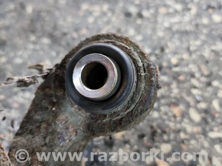 ФОТО Цапфа задняя для Subaru Tribeca B9 (05-08) Київ