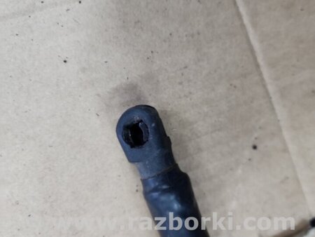 ФОТО Амортизатор капота передний левый для Subaru Outback V BS (14-21) Київ