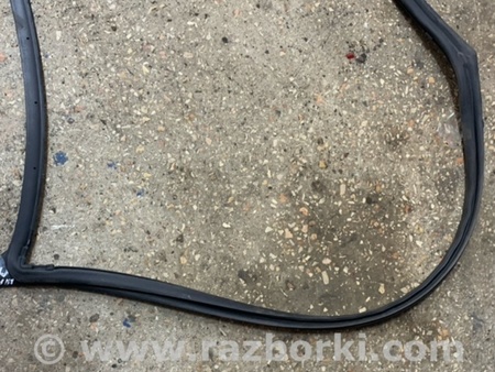 ФОТО Уплотнительная резинка передняя правая для Subaru Tribeca B9 (05-08) Київ