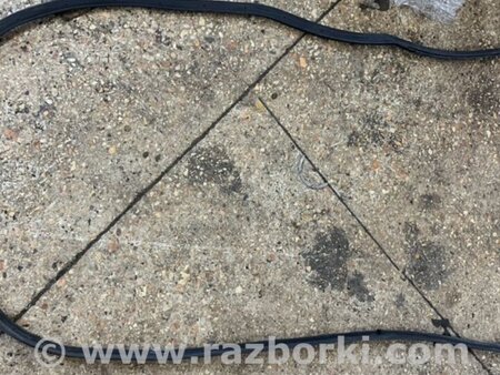 ФОТО Уплотнительная резинка задняя левая для Subaru Tribeca B9 (05-08) Київ