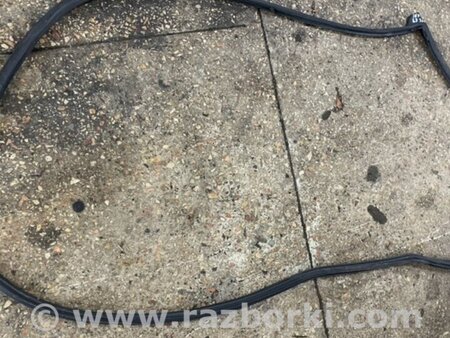 ФОТО Уплотнительная резинка задняя правая для Subaru Tribeca B9 (05-08) Київ