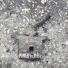 ФОТО Суппорт для Subaru Impreza GD/GG Киев