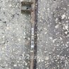 ФОТО Рычаг подвески для Subaru Impreza GD/GG Киев
