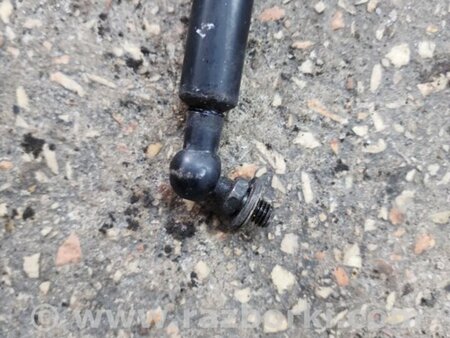 ФОТО Амортизатор капота для Subaru Tribeca B9 (05-08) Київ