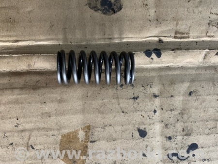 ФОТО Пружина клапана для KIA Sorento 2 XM (09-14) Київ