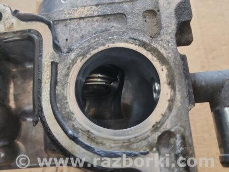 ФОТО насадка поддона для Subaru Outback V BS (14-21) Київ