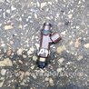 ФОТО Форсунка топливная для Subaru Legacy (все модели) Киев
