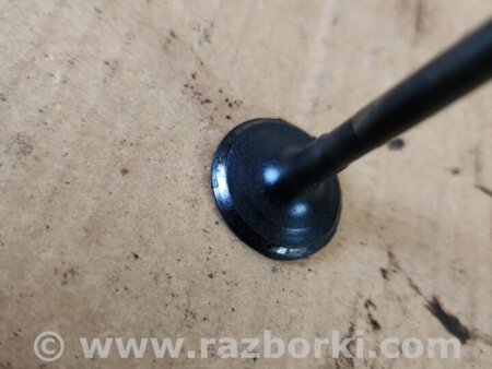 ФОТО Клапан выпускной для Subaru Outback V BS (14-21) Київ