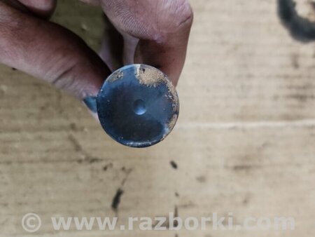 ФОТО Клапан выпускной для Subaru Outback V BS (14-21) Київ