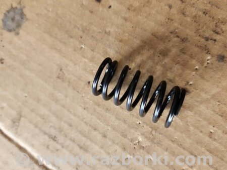 ФОТО Пружина клапана для Subaru Outback V BS (14-21) Київ