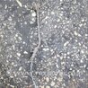ФОТО Датчик ABS для Subaru Outback Киев