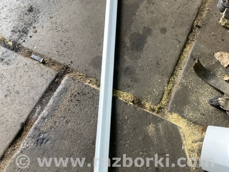 ФОТО Молдинг на дверь передний левый для Subaru Outback III BP/BL (03-09) Київ