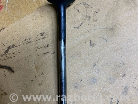 ФОТО Клапан выпускной для Audi (Ауди) Q5 I 8R (08-17) Київ