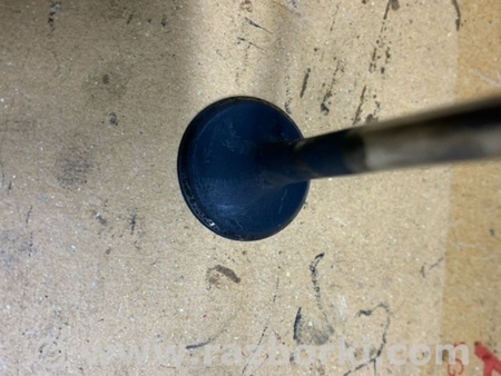 ФОТО Клапан выпускной для Audi (Ауди) Q5 I 8R (08-17) Київ