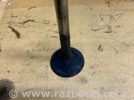 ФОТО Клапан выпускной для Audi (Ауди) Q5 I 8R (08-17) Київ