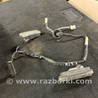 ФОТО Плафон освещения основной для Subaru Forester SG Киев