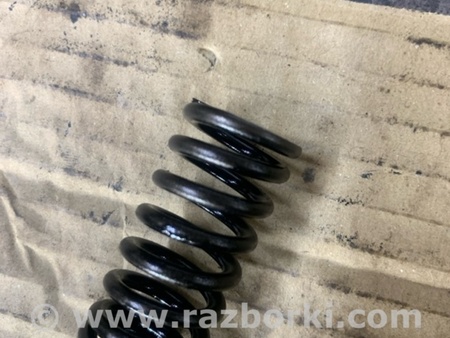 ФОТО Пружина клапана для Hyundai Santa Fe III DM/NC (12-18) Київ