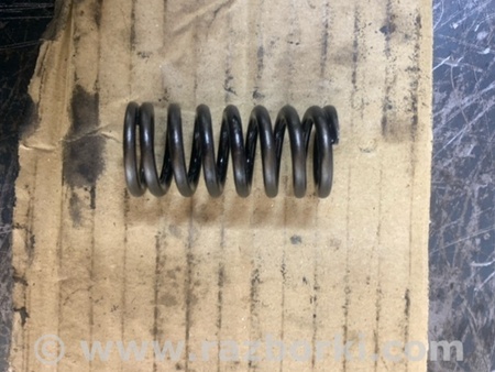 ФОТО Пружина клапана для Hyundai Santa Fe III DM/NC (12-18) Київ