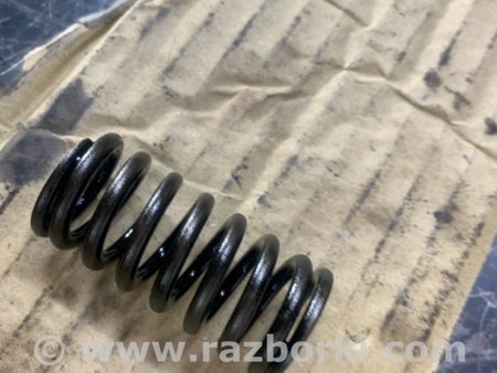 ФОТО Пружина клапана для Hyundai Santa Fe III DM/NC (12-18) Київ