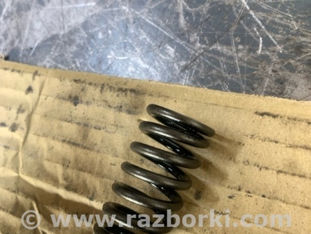 ФОТО Пружина клапана для Hyundai Santa Fe III DM/NC (12-18) Київ