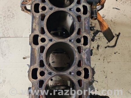 ФОТО Блок цилиндров для Hyundai Santa Fe III DM/NC (12-18) Київ