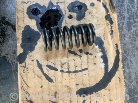 ФОТО Пружина клапана для Hyundai Santa Fe III DM/NC (12-18) Київ