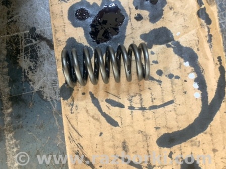 ФОТО Пружина клапана для Hyundai Santa Fe III DM/NC (12-18) Київ