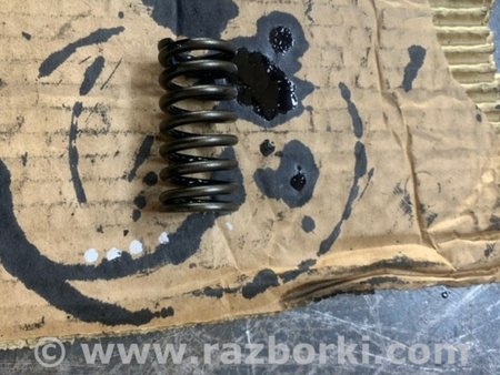 ФОТО Пружина клапана для Hyundai Santa Fe III DM/NC (12-18) Київ