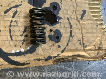 ФОТО Пружина клапана для Hyundai Santa Fe III DM/NC (12-18) Київ