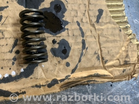 ФОТО Пружина клапана для Hyundai Santa Fe III DM/NC (12-18) Київ