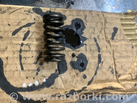 ФОТО Пружина клапана для Hyundai Santa Fe III DM/NC (12-18) Київ
