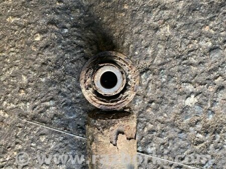 ФОТО Амортизатор задний для KIA Sportage QL (15-21) Київ