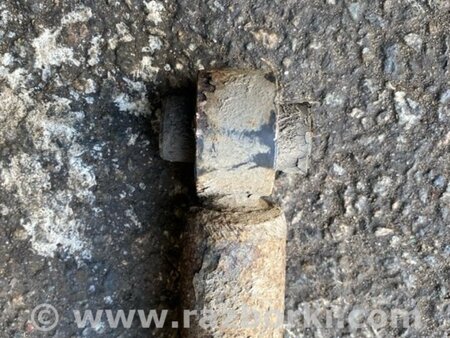 ФОТО Амортизатор задний для KIA Sportage QL (15-21) Київ