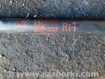 ФОТО Амортизатор для KIA Sorento 1 BL (02-09) Київ