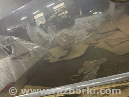 ФОТО Накладка на дверь задняя левая для Subaru Outback III BP/BL (03-09) Київ