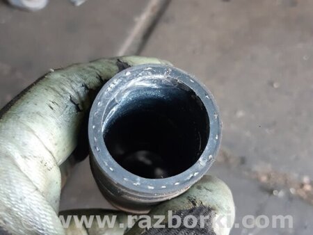 ФОТО Патрубок радиатора для KIA Sportage QL (15-21) Київ