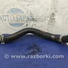 ФОТО Патрубок системы охлаждения для Honda Accord CM (11.2002 - 12.2008) Киев
