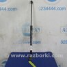 ФОТО Амортизатор крышки багажника для Subaru Impreza (11-17) Киев