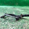 ФОТО Датчик ABS для Subaru Outback BR Киев