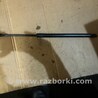 ФОТО Амортизатор крышки багажника для Acura RDX TB3, TB4 (03.2012-12.2015) Киев